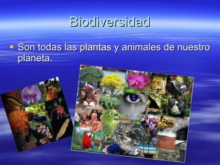 Los seres vivos en los ecosistemas | PPT