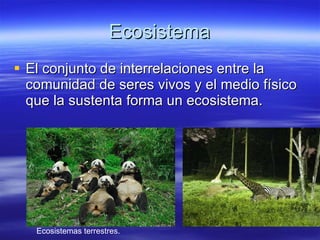 Los seres vivos en los ecosistemas | PPT
