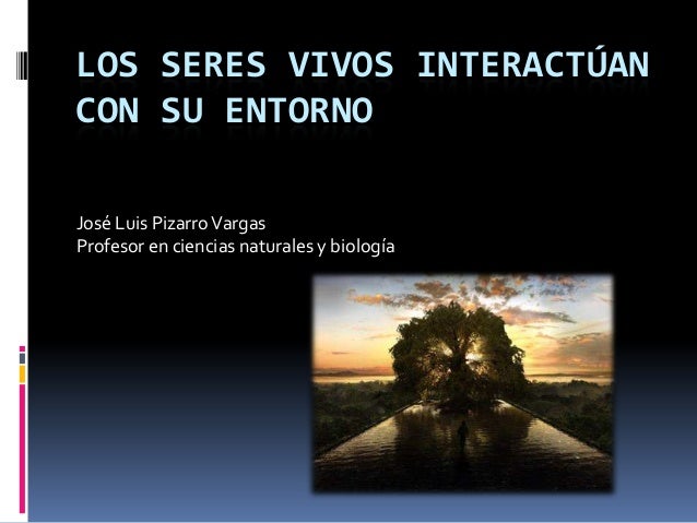 Los seres vivos interactúan con su entorno 7º basico