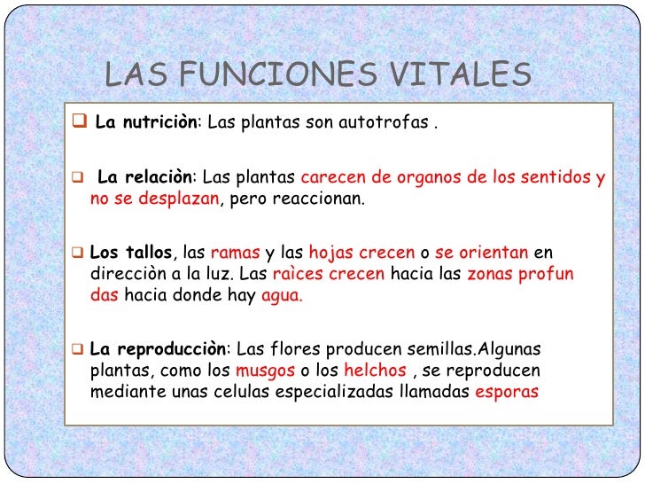 Los seres vivos Marta Rey