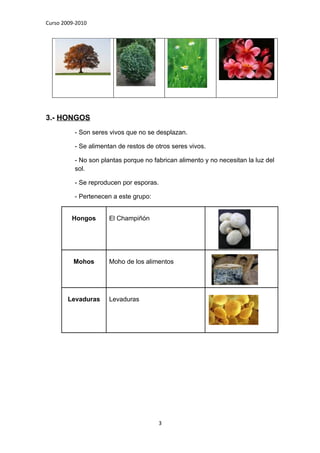 Curso 2009-2010




3.- HONGOS
          - Son seres vivos que no se desplazan.

          - Se alimentan de restos de otros seres vivos.

          - No son plantas porque no fabrican alimento y no necesitan la luz del
          sol.

          - Se reproducen por esporas.

          - Pertenecen a este grupo:


         Hongos       El Champiñón




          Mohos       Moho de los alimentos




        Levaduras     Levaduras




                                       3
 