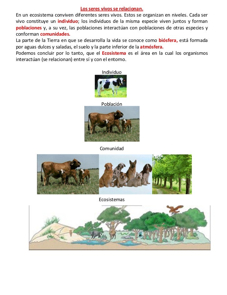 Los seres vivos se relacionan