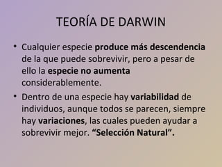 TEORÍA DE DARWIN <ul><li>Cualquier especie  produce más descendencia  de la que puede sobrevivir, pero a pesar de ello la ...