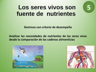 Los seres vivos son
fuente de nutrientes
Destreza con criterio de desempeño
Analizar las necesidades de nutrientes de los seres vivos
desde la comparación de las cadenas alimenticias
5
 