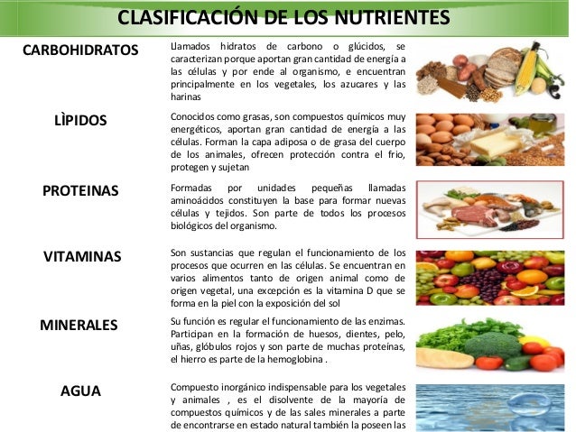 Los seres vivos son fuente de nutrientes 2 Los seres vivos son fuente de nutrientes 2