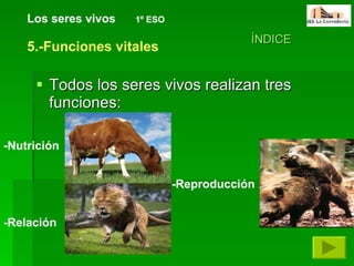Todos los seres vivos realizan tres funciones: Los seres vivos   1º ESO ÍNDICE 5.-Funciones vitales -Relación -Nutrición -Reproducción 