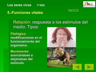 Relación:  respuesta a los estímulos del medio. Tipos: Los seres vivos   1º ESO ÍNDICE 5.-Funciones vitales Filológica:  modificaciones en el funcionamiento del organismo. Movimiento:  acercándose o alejándose del estimulo. 
