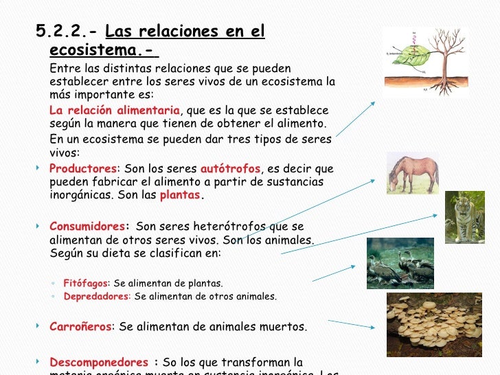 Los Seres Vivos Y El Medio