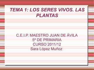 TEMA 1: LOS SERES VIVOS. LAS PLANTAS C.E.I.P. MAESTRO JUAN DE ÁVILA 5º DE PRIMARIA CURSO 2011/12 Sara López Muñoz  