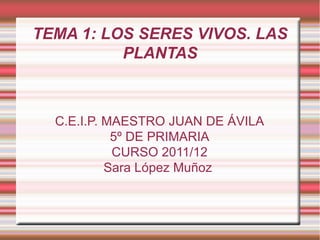 TEMA 1: LOS SERES VIVOS. LAS
PLANTAS
C.E.I.P. MAESTRO JUAN DE ÁVILA
5º DE PRIMARIA
CURSO 2011/12
Sara López Muñoz
 