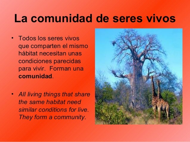 Los Seres Vivos Y Su Entorno