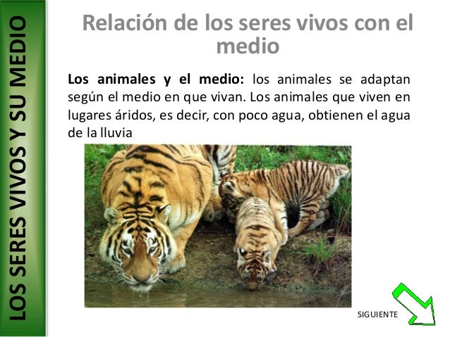 Cuando después de los antibióticos comienzan a caer los cabellos