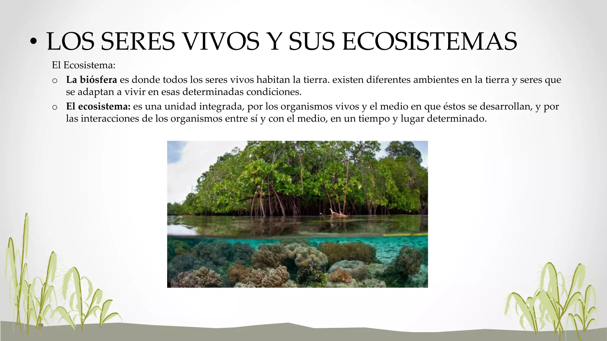 Los seres vivos y sus ecosistemas | PPTX