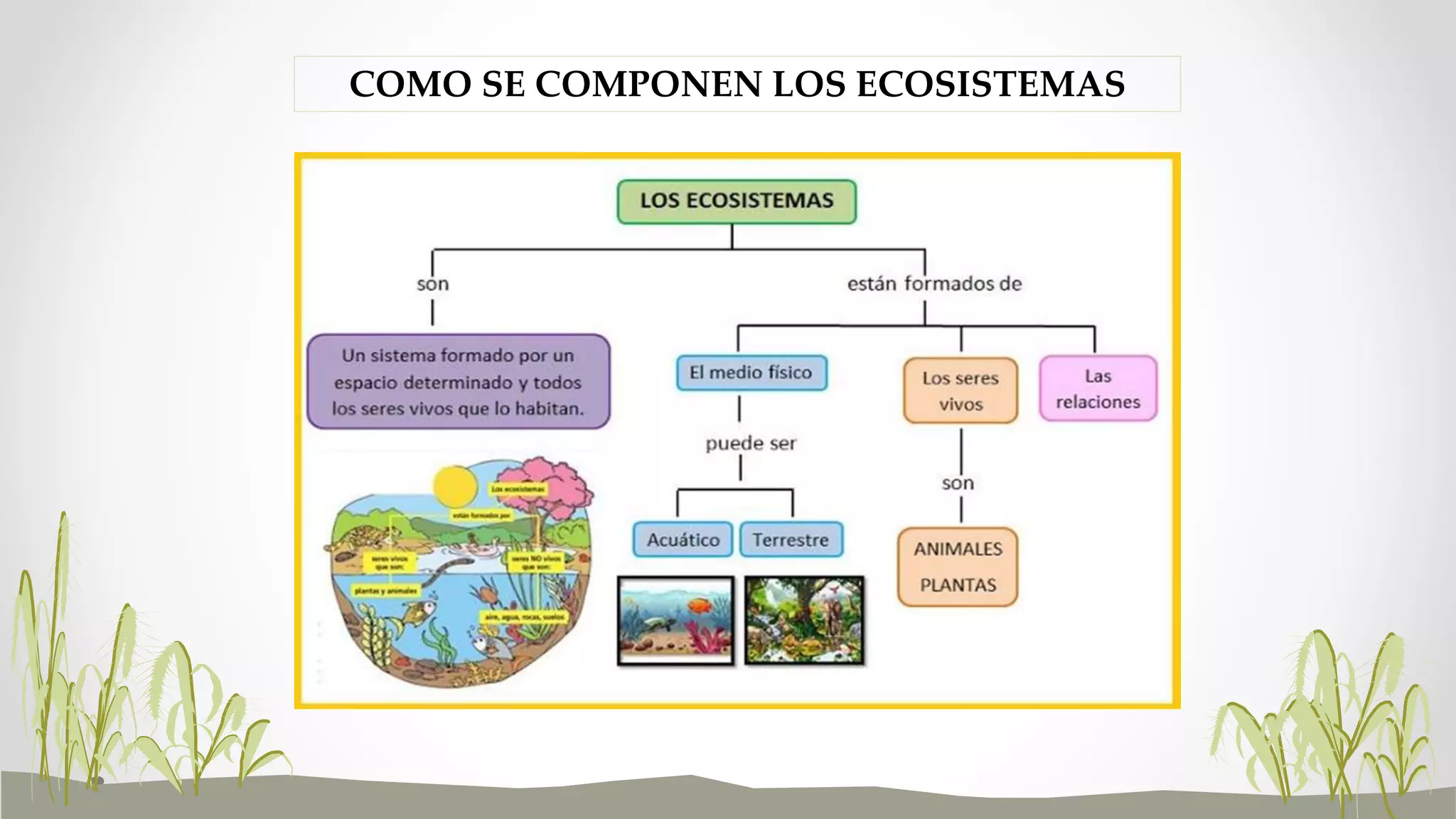 Los seres vivos y sus ecosistemas | PPTX