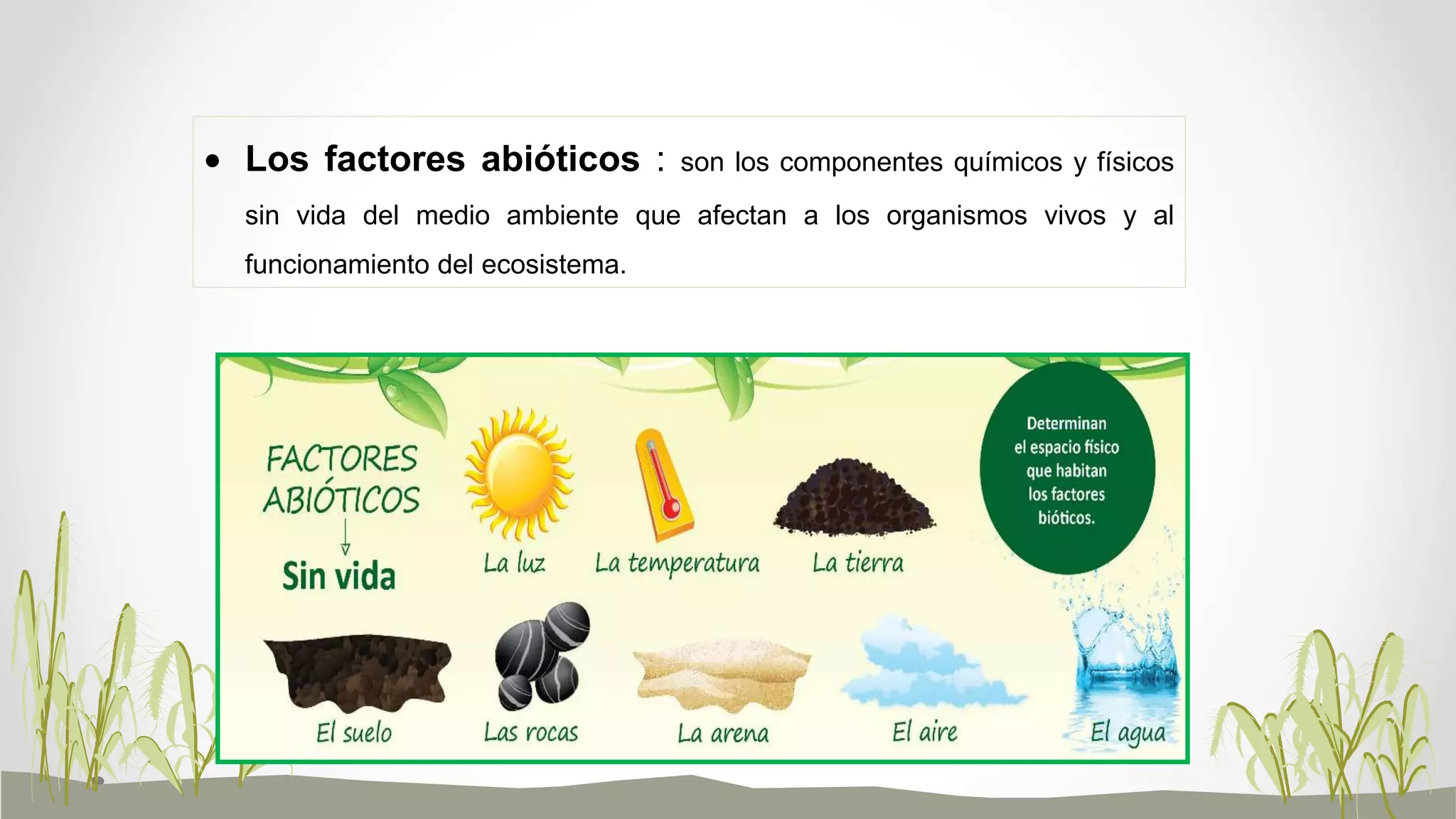 Los seres vivos y sus ecosistemas | PPTX