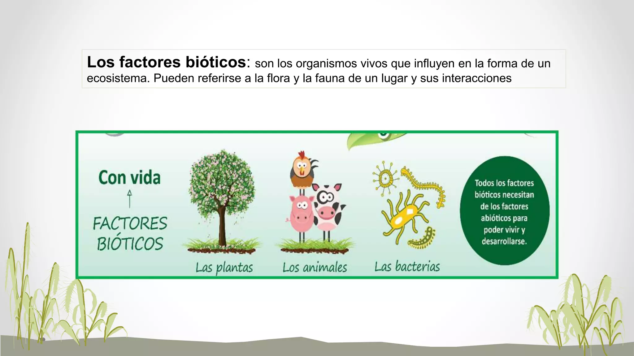 Los seres vivos y sus ecosistemas | PPTX