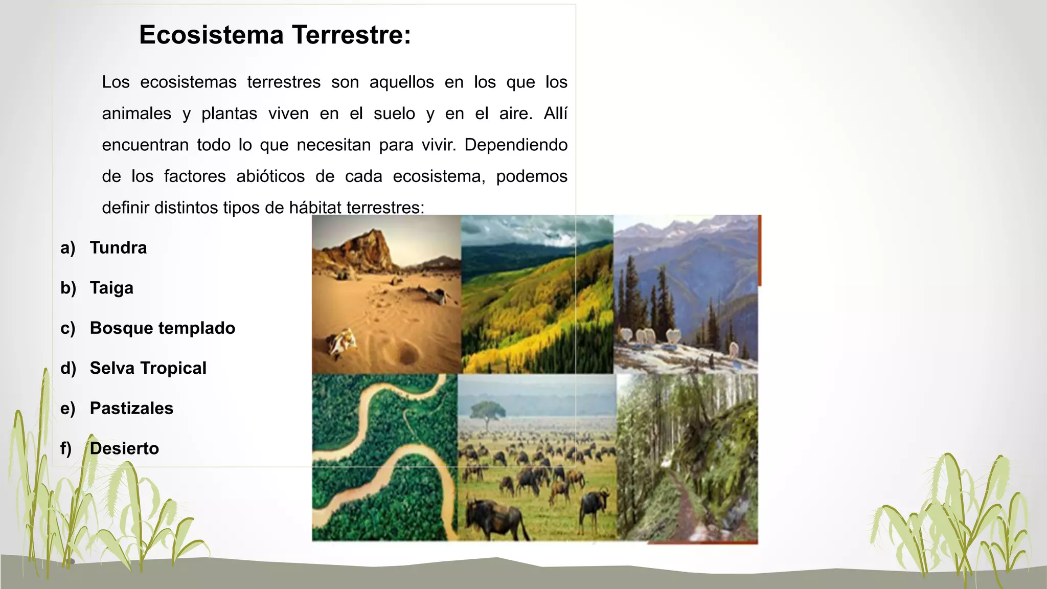 Los seres vivos y sus ecosistemas | PPTX