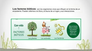 Los seres vivos y sus ecosistemas | PPTX