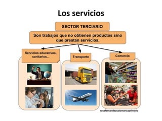 Los servicios
 