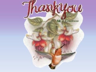 Losses in dc shunt machine