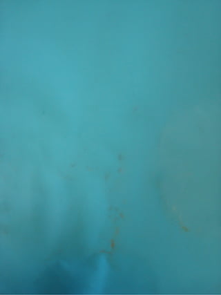 Los+siete+cabritillos