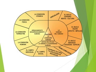 LA CONDICIÓN
CÓSMICA

AD
LID
UA
NID
U

LA CONDICIÓN
FISICA

EL BUCLE
CEREBRO
MENTE - CULTURA

EL BUCLE
RAZÓN
AFECTO - IMPULSO

LA CONDICIÓN
TERRESTRE

LA CONDICIÓN
HUMANA

ARRAIGAMIENTO
LO
DESARRAGIGAMIENTO
HUMANO
HUMANO
DEL HUMANO
ENSEÑAR
LA
CONDICIÓN
HUMANA
EL BUCLE
UNITAS MULTIPLES:
INDIVIDUO
LA UNIDAD Y LA DIVERSIDAD
SOCIEDAD - ESPECIE
HUMANA

HO

EL CAMPO
INDIVIDUAL

EL CAMPO
SOCIAL

MO
DI VE
RS ID
CO
AD
MP
Y PL
URAL CULTU
LE
XU
INDI IDADES RAL
S
VUDU
DE
OS

 