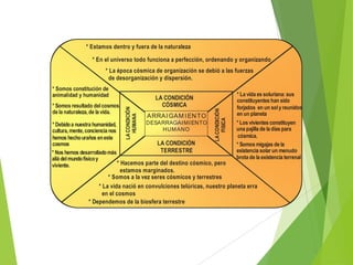* Estamos dentro y fuera de la naturaleza
* En el universo todo funciona a perfección, ordenando y organizando
* La época cósmica de organización se debió a las fuerzas
de desorganización y dispersión.
LA CONDICIÓN
CÓSMICA
ARRAI GAM I ENTO
DESARRAGAI MI ENTO
HUMANO

LA CONDICIÓN
FISICA

* Somos resultado del cosmos,
de la naturaleza, de la vida.

LA CONDICIÓN
HUMANA

* Somos constitución de
animalidad y humanidad

* Debido a nuestra humanidad,
cultura, mente, conciencia nos
hemos hecho uraños en este
LA CONDICIÓN
cosmos
TERRESTRE
* Nos hemos desarrollado más
allá del mundo físico y
* Hacemos parte del destino cósmico, pero
viviente.

* La vida es soluriana: sus
constituyentes han sido
forjados en un sol y reunidos
en un planeta
* Los vivientes constituyen
una pajilla de la días para
cósmica.
* Somos migajas de la
existencia solar un menudo
brota de la existencia terrenal

estamos marginados.
* Somos a la vez seres cósmicos y terrestres
* La vida nació en convulciones telúricas, nuestro planeta erra
en el cosmos
* Dependemos de la biosfera terrestre

 