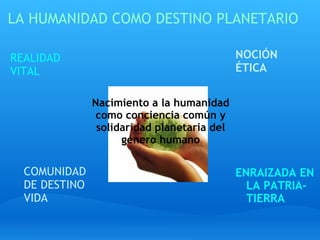 LA HUMANIDAD COMO DESTINO PLANETARIO ENRAIZADA EN LA PATRIA- TIERRA Nacimiento a la humanidad como conciencia común y solidaridad planetaria del género humano REALIDAD VITAL COMUNIDAD DE DESTINO  VIDA NOCIÓN ÉTICA 