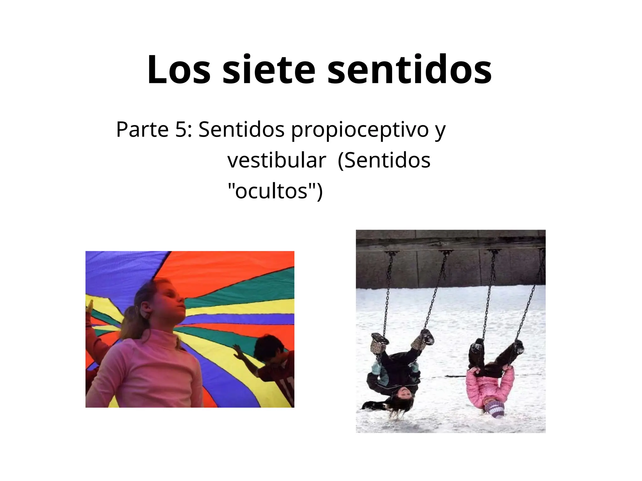 Los siete sentidos Parte 5_ Sentidos propioceptivo y vestibular ...