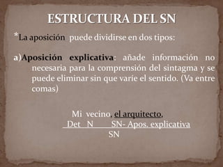*La aposición   puede dividirse en dos tipos:

a)Aposición explicativa: añade información no
    necesaria para la comprensión del sintagma y se
    puede eliminar sin que varíe el sentido. (Va entre
    comas)

                 Mi vecino, el arquitecto,
                Det N      SN- Apos. explicativa
                          SN
 