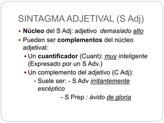 SINTAGMA ADJETIVAL (S Adj)
 Núcleo del S Adj: adjetivo demasiado alto
 Pueden ser complementos del núcleo
adjetival:
 Un cuantificador (Cuant): muy inteligente
(Expresado por un S Adv.)
 Un complemento del adjetivo (C Adj):
 Suele ser: - S Adv irritantemente
escéptico
- S Prep : ávido de gloria
 