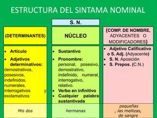 ESTRUCTURA DEL SINTAMA NOMINAL
S. N.
(DETERMINANTES) NÚCLEO
(COMP. DE NOMBRE,
ADYACENTES O
MODIFICADORES)
 Artículo  Sustantivo
 Adjetivo Calificativo
o S. Adj. (Adyacente)
 Adjetivos
determinativos:
demostrativos,
posesivos,
indefinidos,
numerales,
interrogativos y
exclamativos
 Pronombre:
personal, posesivo,
demostrativo,
indefinido, numeral,
interrogativo,
relativo.
 Verbo en infinitivo
 Cualquier palabra
sustantivada
 S. N. Aposición
 S. Prepos. (C.N.)
Mis dos hermanas
pequeñas
, las mellizas,
de sangre
 