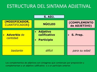 ESTRUCTURA DEL SINTAMA ADJETIVAL
S. ADJ.
(MODIFICADOR,
CUANTIFICADOR) NÚCLEO
(COMPLEMENTO
de ADJETIVO)
 Adverbio de
cantidad
 Adjetivo
calificativo
 Participio
 S. Prep.
bastante difícil para su edad
Los complementos de adjetivos son sintagmas que comienzan por preposición y
complementan a un adjetivo calificativo o a un participio anterior.
 
