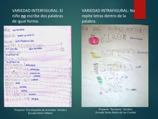 VARIEDAD INTRAFIGURAL: No
repite letras dentro de la
palabra.
VARIEDAD INTERFIGURAL: El
niño no escribe dos palabras
de igual forma.
Proyecto “Enciclopedia de Animales” (Kinder),
Escuela Darío Villalón
Proyecto “Recetario” (Kinder),
Escuela Santa María de Las Condes
 