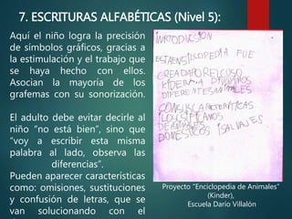 Aquí el niño logra la precisión
de símbolos gráficos, gracias a
la estimulación y el trabajo que
se haya hecho con ellos.
Asocian la mayoría de los
grafemas con su sonorización.
El adulto debe evitar decirle al
niño “no está bien”, sino que
“voy a escribir esta misma
palabra al lado, observa las
diferencias”.
Pueden aparecer características
como: omisiones, sustituciones
y confusión de letras, que se
van solucionando con el
Proyecto “Enciclopedia de Animales”
(Kinder),
Escuela Darío Villalón
7. ESCRITURAS ALFABÉTICAS (Nivel 5):
 