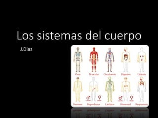 Los sistemas del cuerpo
J.Diaz
 