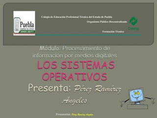 Colegio de Educación Profesional Técnica del Estado de Puebla
                                       Organismo Público Descentralizado


                                                    Formación Técnica




            Presenta: Pérez Ramírez Angeles
 