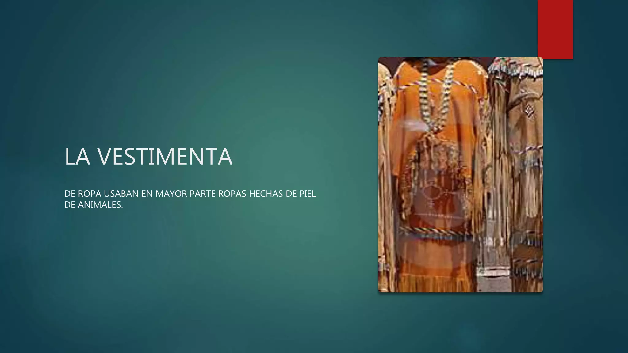 LA VESTIMENTA
DE ROPA USABAN EN MAYOR PARTE ROPAS HECHAS DE PIEL
DE ANIMALES.