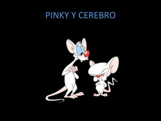 PINKY Y CEREBRO 