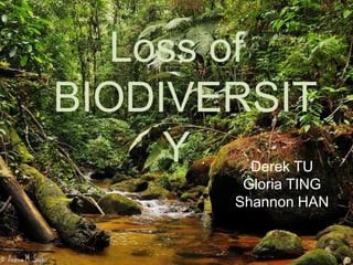 Loss of
BIODIVERSIT
     Y   Derek TU
        Gloria TING
       Shannon HAN
 