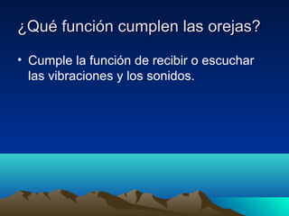 ¿Qué función cumplen las orejas?
• Cumple la función de recibir o escuchar
las vibraciones y los sonidos.