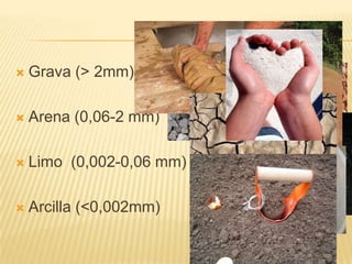 Los suelos se forman por la combinación de cinco factores interactivos: materiales, clima, topografía, organismos vivos y tiempo.