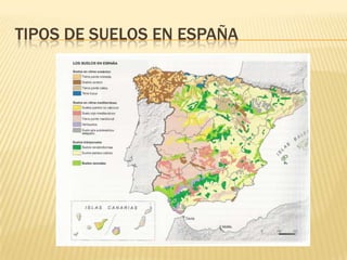 Formación del sueloEl relieve como factor formador	Los elementos del relieve más importantes son la inclinación y longitud de las laderas, la posición fisiográfica (mesetas, valles, llanuras, cimas, etc.) y la orientación.Los organismos como factor formadorEjercen tres acciones fundamentales: aportan la materia orgánica, la transforman y la mezclan con el resto de materiales del suelo.El tiempo como factor formador