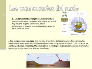 1.- Los componentes inorgánicos. Está constituida
     por trozos de rocas, minerales, aire y agua, en la cual
     hay disuelto oxígeno y alimentos. El aire
     proporciona el oxígeno necesario para que vivan los
     seres vivos del suelo.




2.- Los
      componentes orgánicos. Es la materia procedente de los seres vivos. Por ejemplo, los
propios seres vivos que habitan bajo tierra (lombrices, hongos microscópicos…), las raíces de las
plantas y el humus o mantillo, Materia orgánica formada por restos descompuestos de animales
que ocupa la capa superior y utiliza como abono.
 