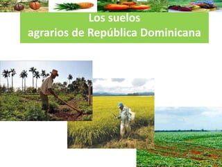 Los suelos
agrarios de República Dominicana
 