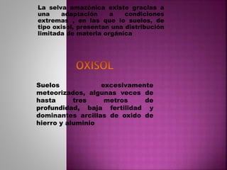 La selva amazónica existe gracias a
una adaptación a condiciones
extremas , en las que lo suelos, de
tipo oxisol, presentan una distribución
limitada de materia orgánica
Suelos excesivamente
meteorizados, algunas veces de
hasta tres metros de
profundidad, baja fertilidad y
dominantes arcillas de oxido de
hierro y aluminio
 