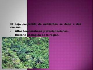 El bajo contenido de nutrientes se debe a dos
causas:
• Altas temperaturas y precipitaciones.
• Historia geológica de la región.
 