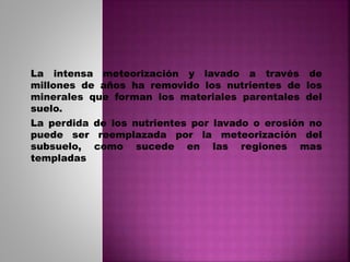 La intensa meteorización y lavado a través de
millones de años ha removido los nutrientes de los
minerales que forman los materiales parentales del
suelo.
La perdida de los nutrientes por lavado o erosión no
puede ser reemplazada por la meteorización del
subsuelo, como sucede en las regiones mas
templadas
 