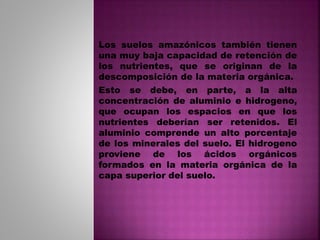 Los suelos amazónicos también tienen
una muy baja capacidad de retención de
los nutrientes, que se originan de la
descomposición de la materia orgánica.
Esto se debe, en parte, a la alta
concentración de aluminio e hidrogeno,
que ocupan los espacios en que los
nutrientes deberían ser retenidos. El
aluminio comprende un alto porcentaje
de los minerales del suelo. El hidrogeno
proviene de los ácidos orgánicos
formados en la materia orgánica de la
capa superior del suelo.
 