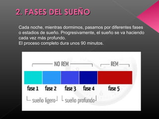 2. FASES DEL SUEÑO2. FASES DEL SUEÑO
Cada noche, mientras dormimos, pasamos por diferentes fases
o estadios de sueño. Progresivamente, el sueño se va haciendo
cada vez más profundo.
El proceso completo dura unos 90 minutos.
 